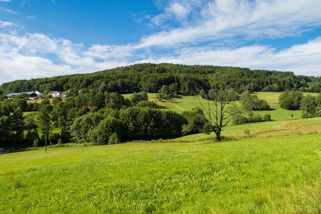 Landgut Stetter Hotel Schöllnach Buitenkant foto